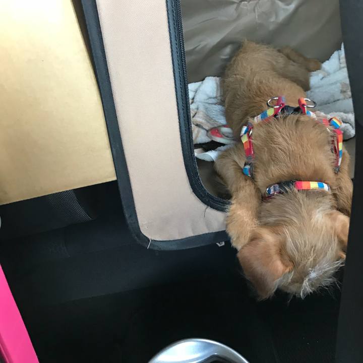 Fdb757cd 337d 4fb2 8eb1 3d1592bb8b71 1521873296223