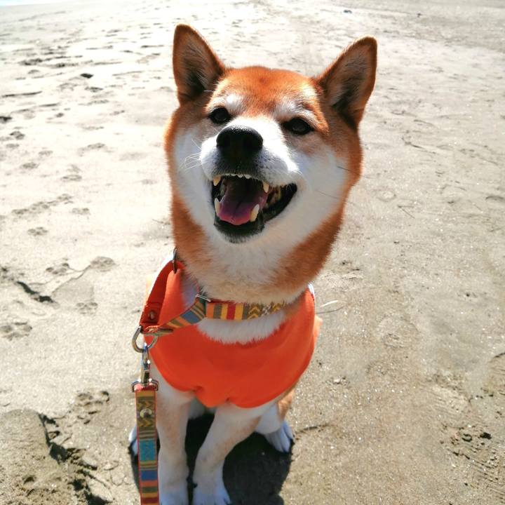 Fdb79898 20c4 4b19 8c17 26bfdc4b68b5 1678885882340