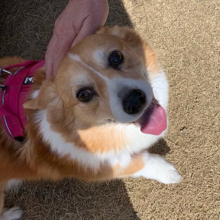 Fdb7c8d7 dff4 4f40 95d9 977fdcada9a2 1709434293361