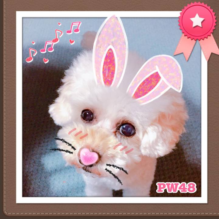 Fdb7d0a4 4edd 41a0 976d 76626849d42d 1507712233763