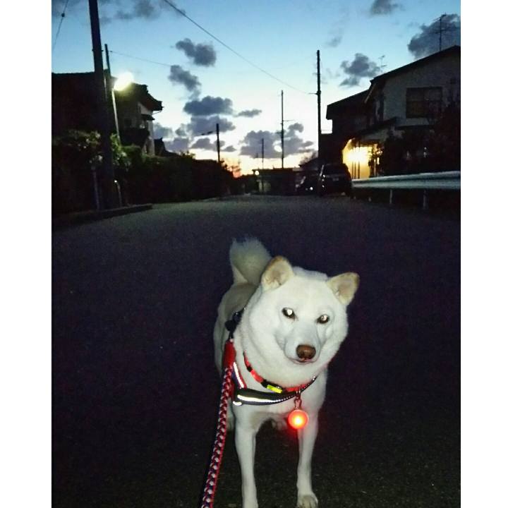 Fdb81821 0689 46a2 9daf 646fbcb2264e 1572943623252