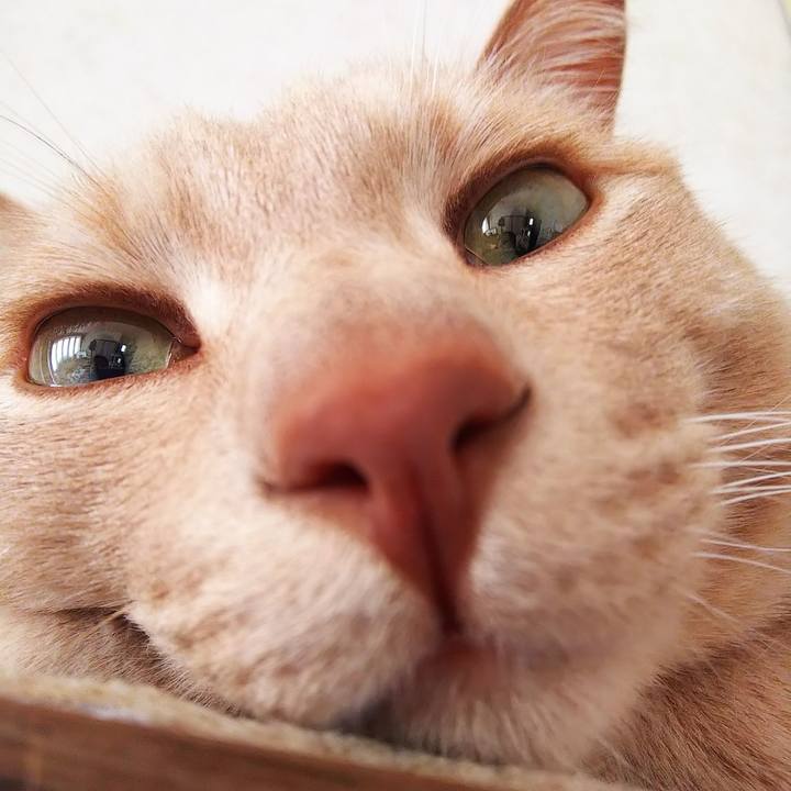 Fdb8555c 465b 4963 b57e e7352d0558c3 1614152314336