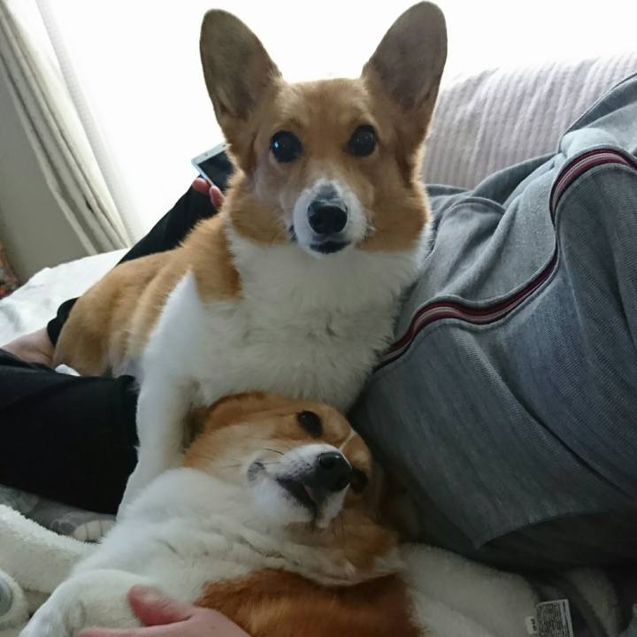 Fdb86cd7 3621 44a6 a098 6dce7e5d566b 1523167001718