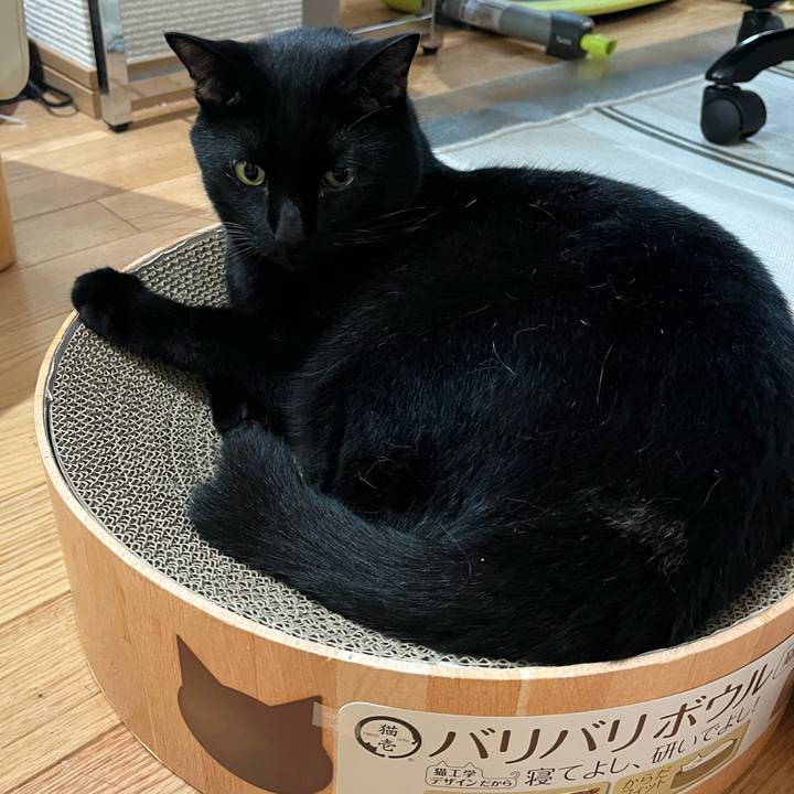 Fdb876a4 40c9 4d91 9bf7 0a97e4fbd321 1661984609912