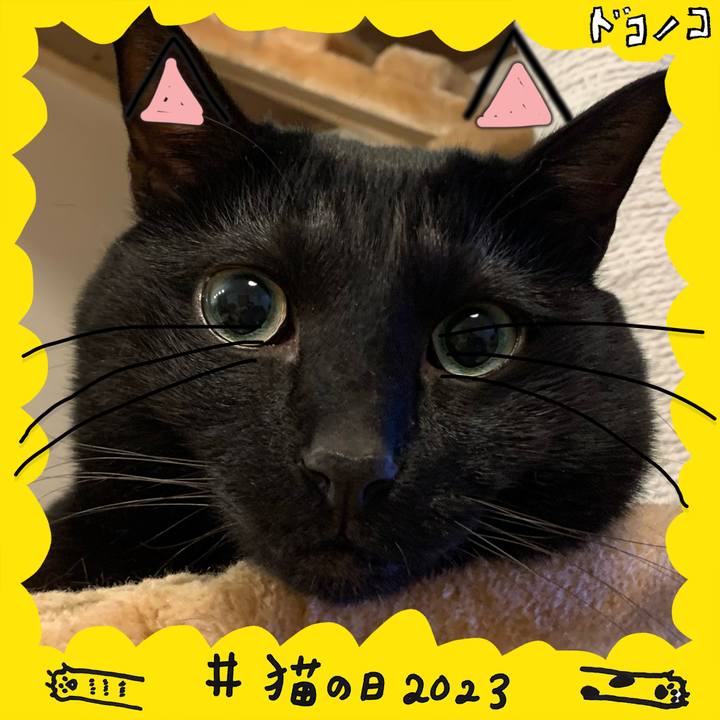 Fdb8870d afb8 4589 89b5 bae950f75f4c 1677037155151