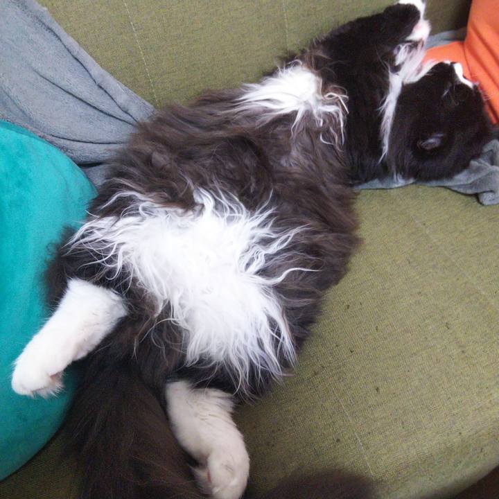 Fdb8a981 999a 424c a03a 1d0a73c7eaa4 1660811515863