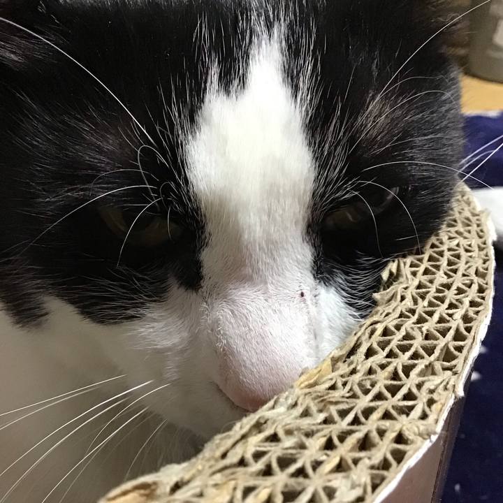 Fdb8ad9e aa4c 4b96 8629 b5329832f8ba 1715589968086