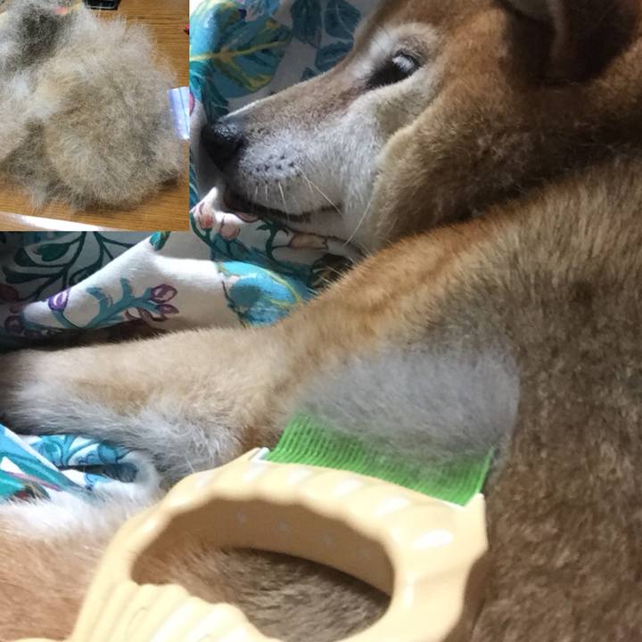 Fdb8b531 ccfb 4b2b 94b5 abf09f58ee18 1624451201897