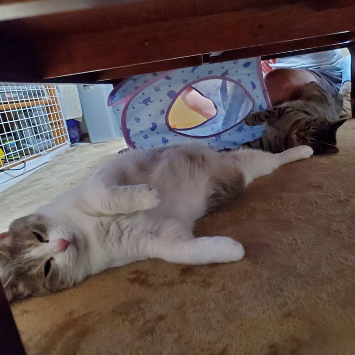 Fdb8d414 dce7 43b2 a8e3 dd533f0fba90 1714475367366