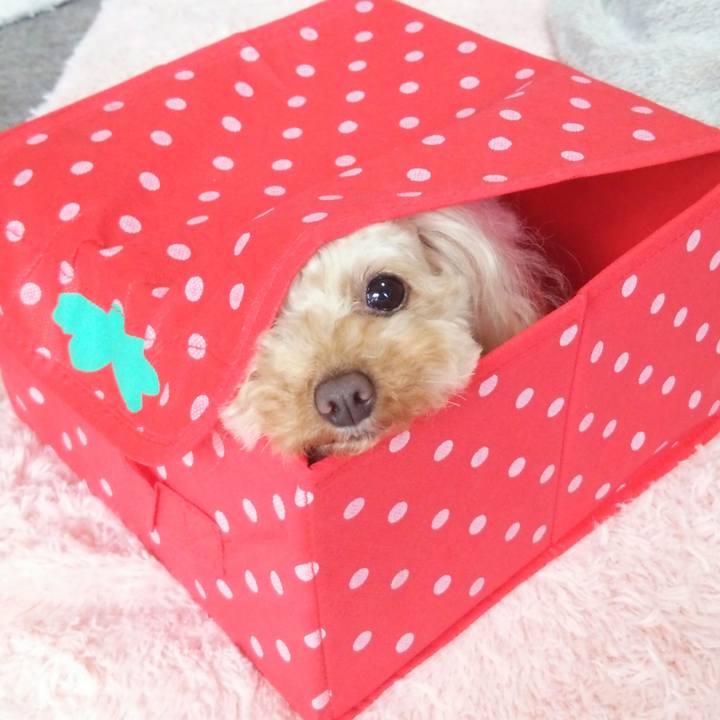 Fdb8e1fc 9a00 4899 ab00 1998c1759063 1520671674294