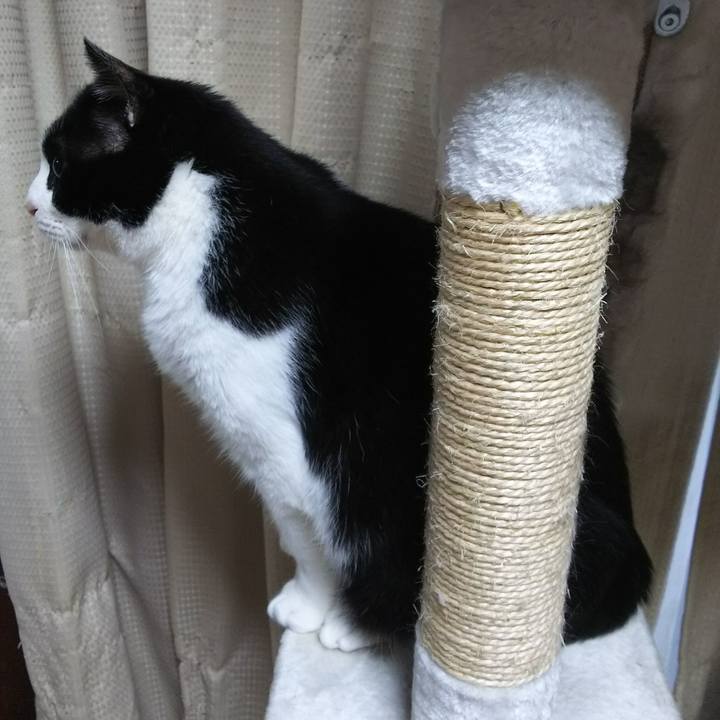 Fdb8ee64 fcc2 44e1 94e3 72c769dedea7 1526244650157