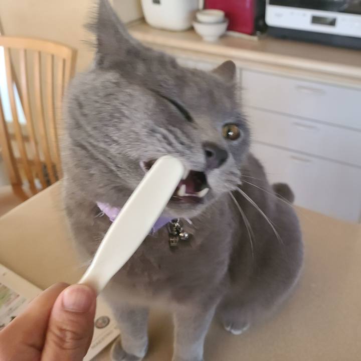 Fdb8f961 60ee 49a0 9044 db437663fd41 1646109689699