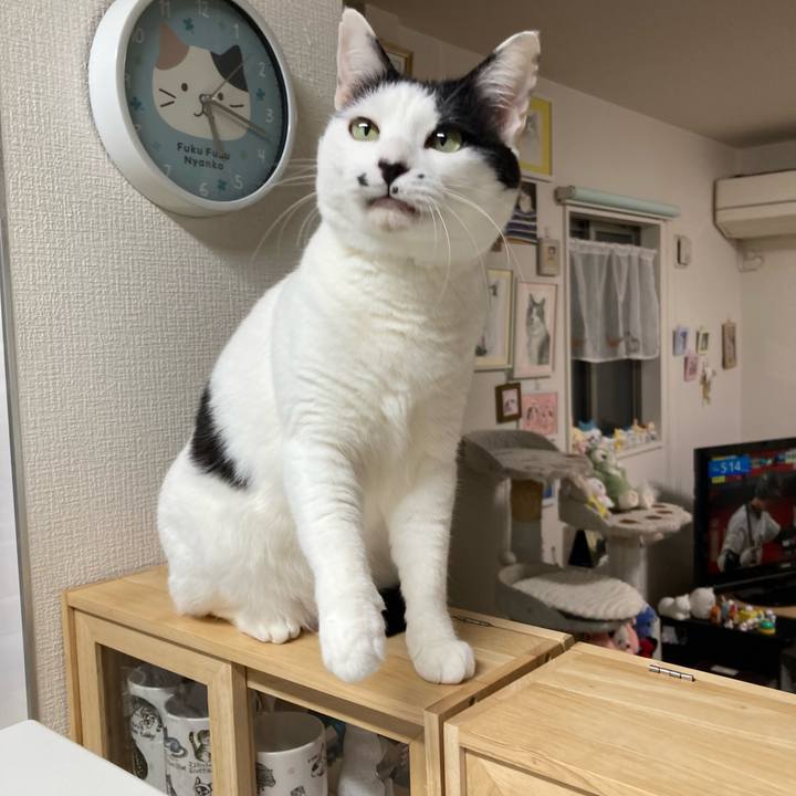 Fdb8f999 2198 4ab6 a46d b28ec9d9ca3b 1773864922610