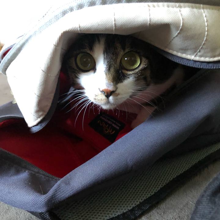 Fdb912e3 1245 4abc ac08 7f25aad21865 1642331629386