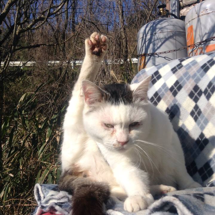 Fdb924b4 f79e 43e8 9370 6e6fd2786665 1553422247965