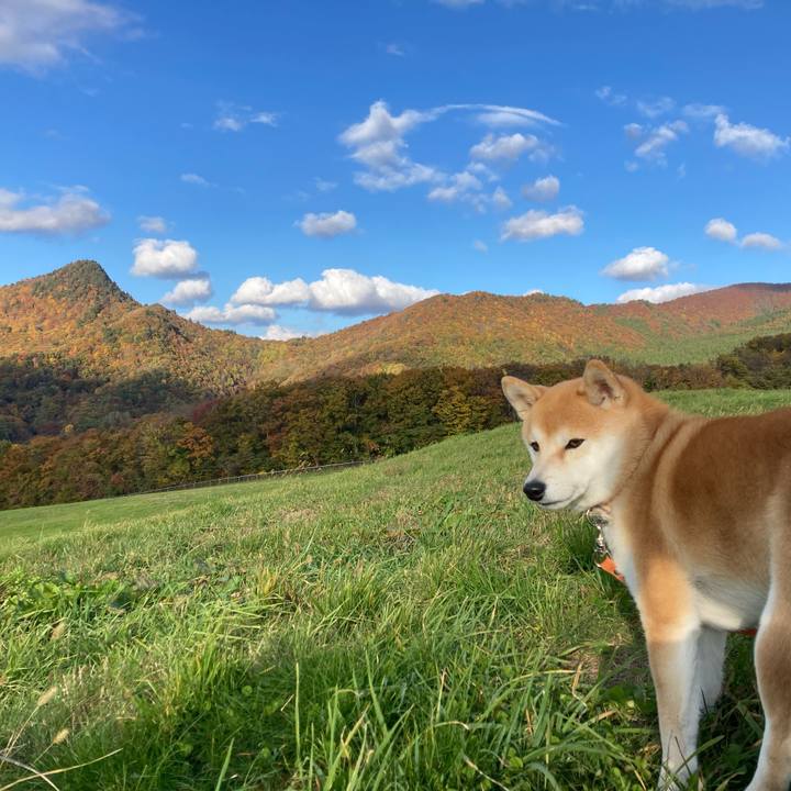 Fdb92a52 a217 43c0 bf66 8fbc5b4a3b4c 1698647133559