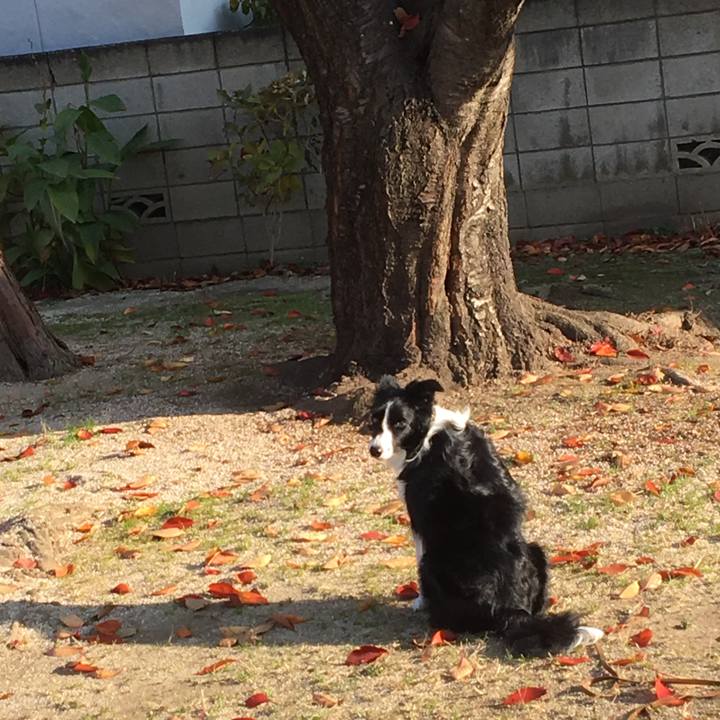 Fdb92ec2 e8ad 4dad 9016 37cd32ad5050 1512260082441