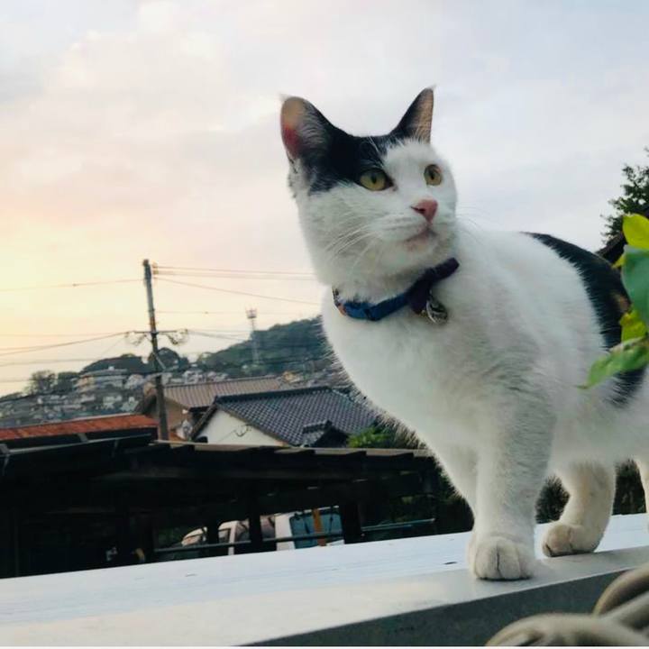 Fdb94d63 1cce 4220 a499 8333f93d2040 1667384391939