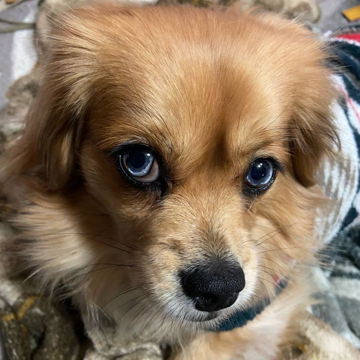 Fdb9668c ffe9 4df1 b821 a5076038e35c 1582839630902