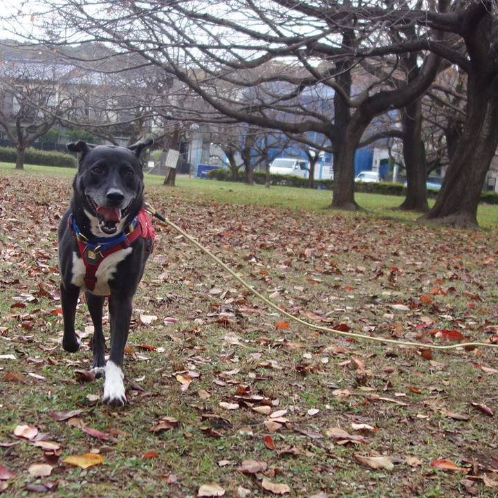 Fdb968cd 0a68 4d06 9425 aed3d7e713f0 1668904752273