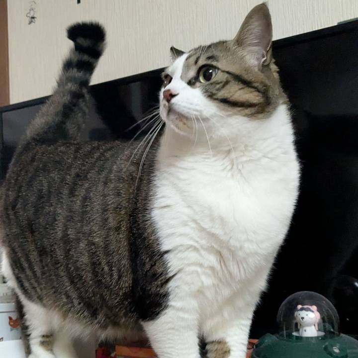 Fdb976fc 54ca 4996 b006 f6ba6fcc10df 1738757325252