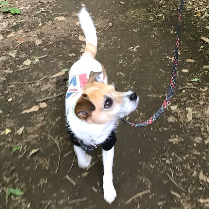 Fdb9a33f 63d9 405a 8d7b a779284650ab 1525565486717