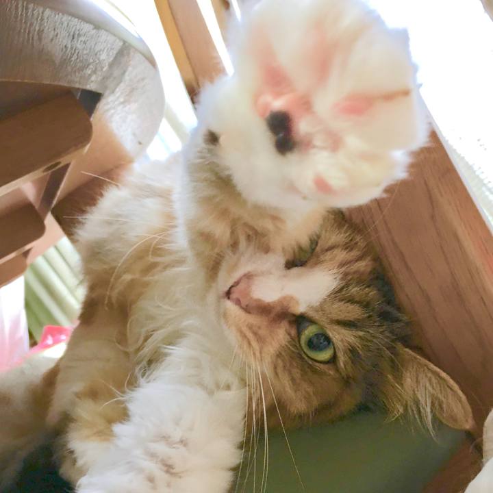 Fdb9b70c 0afb 41dd 9c59 6efaa9cecce1 1566270652764