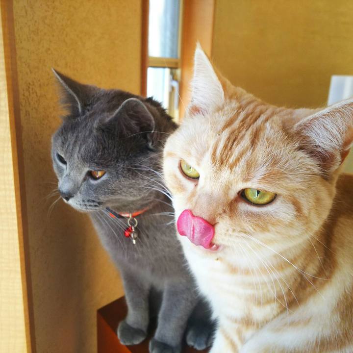 Fdb9d331 71ab 4e06 9792 103d71e015cb 1514891029707