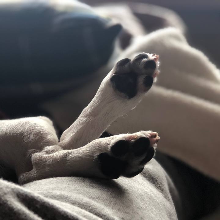 Fdb9f6d7 8406 4486 b117 85fb042f5185 1554194583267