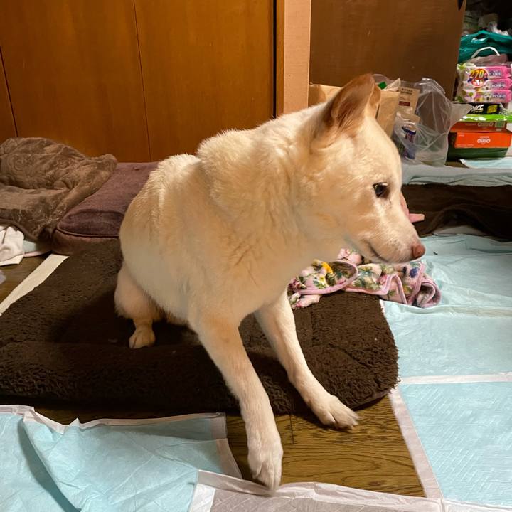 Fdba112f 5625 4c7c 834a cdeb857bcd0b 1636808009898