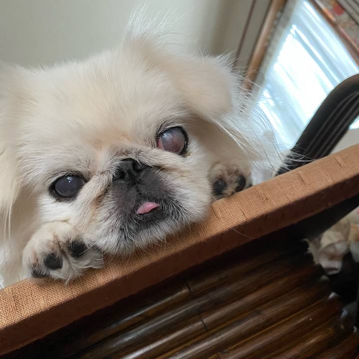 Fdba17ca e5b0 4c4f a64c 63469034e79b 1628819933572