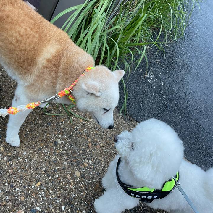 Fdba1e2b 6bb7 40f5 b3f3 63c222fb19d4 1695163135069