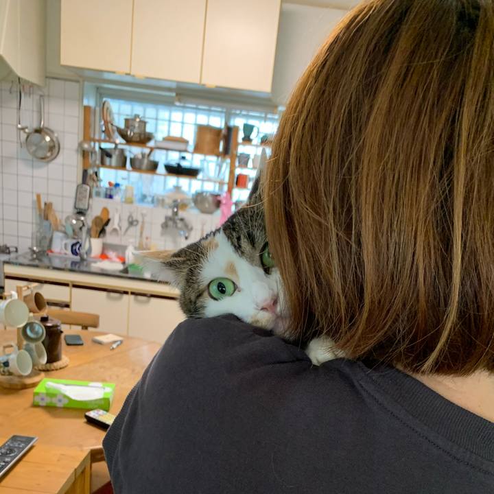 Fdba37b5 c8f8 4200 9bce b7f7717495f0 1661911996733