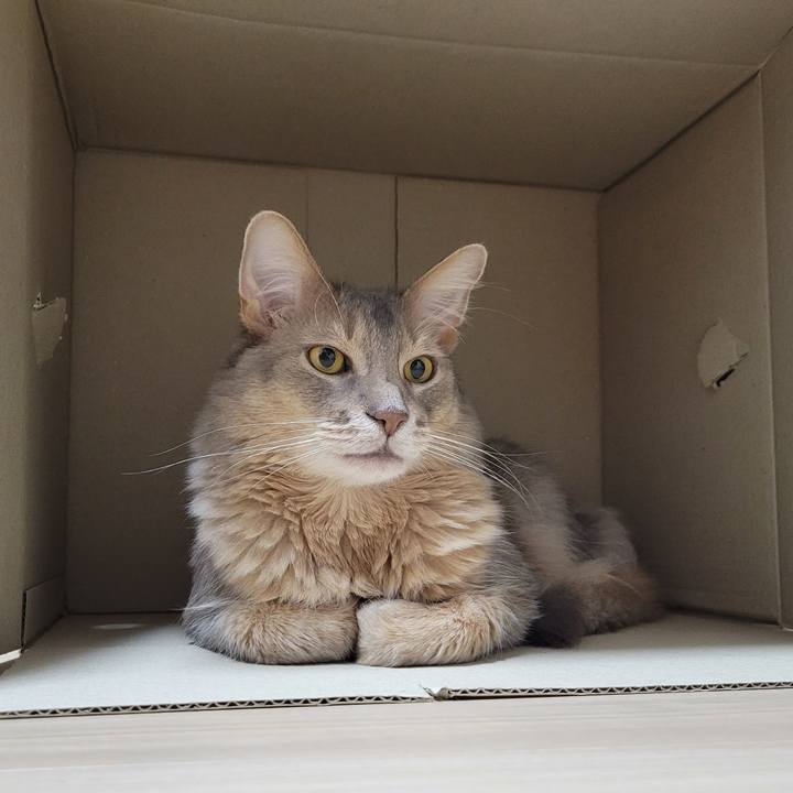 Fdba4031 a98a 4eb9 86e3 60e86054e420 1653561566183