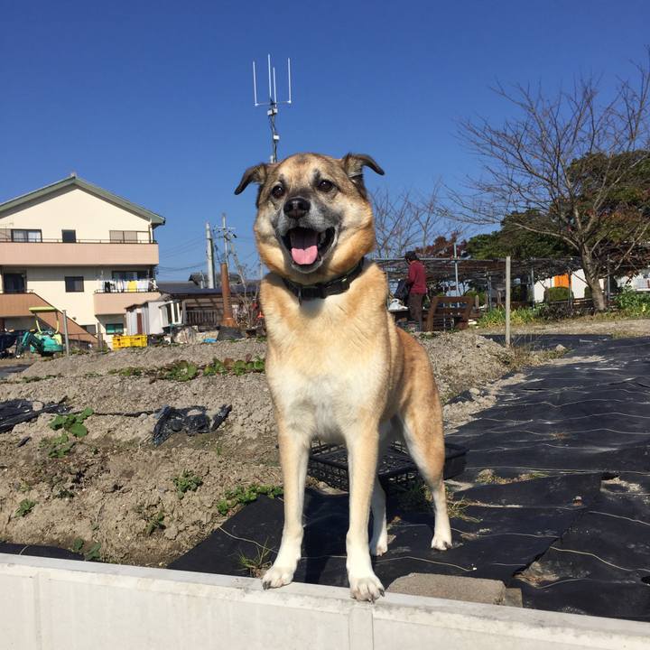 Fdba701d 79e5 4b2d ab95 8fc80fff6452 1511840730336