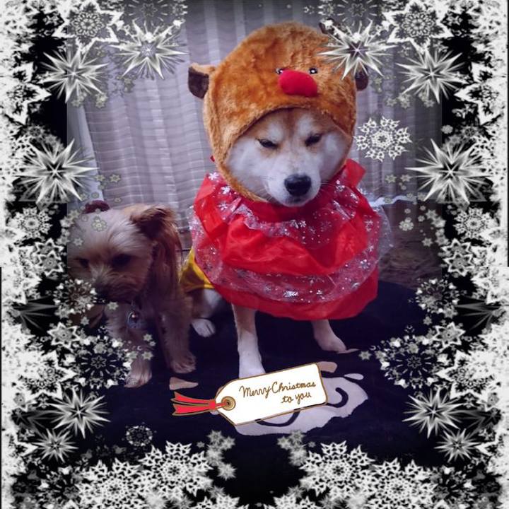 Fdba7298 6c97 436e 8473 9dfacbdebe19 1545738665841