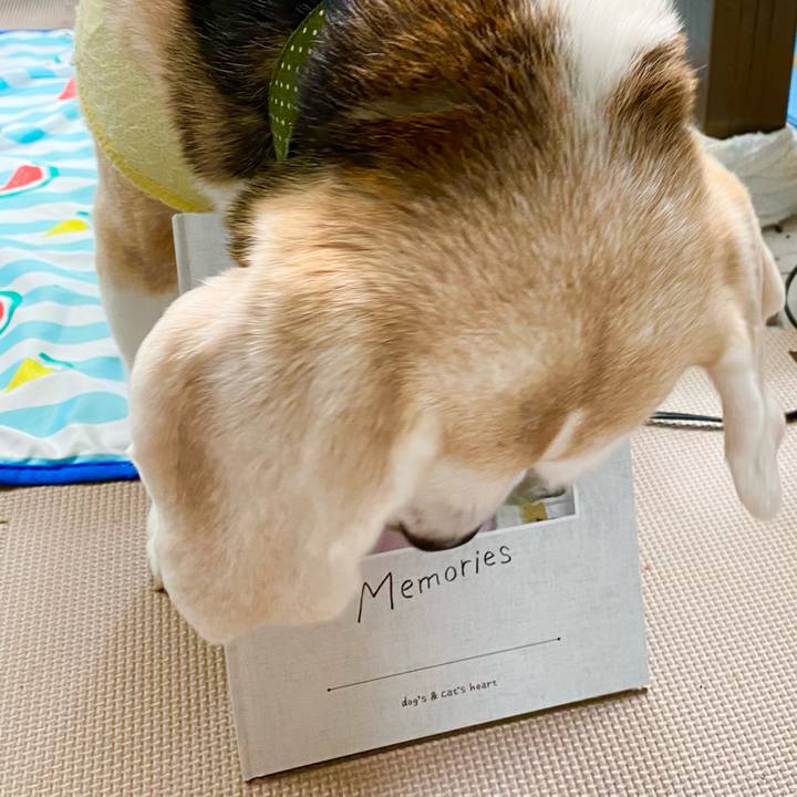 Fdba9556 39b3 461f 8d08 2d56d66aff9b 1663386774895