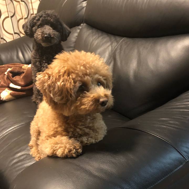 Fdbaab58 617e 42ec acf0 d14d9cfc161a 1613900091687