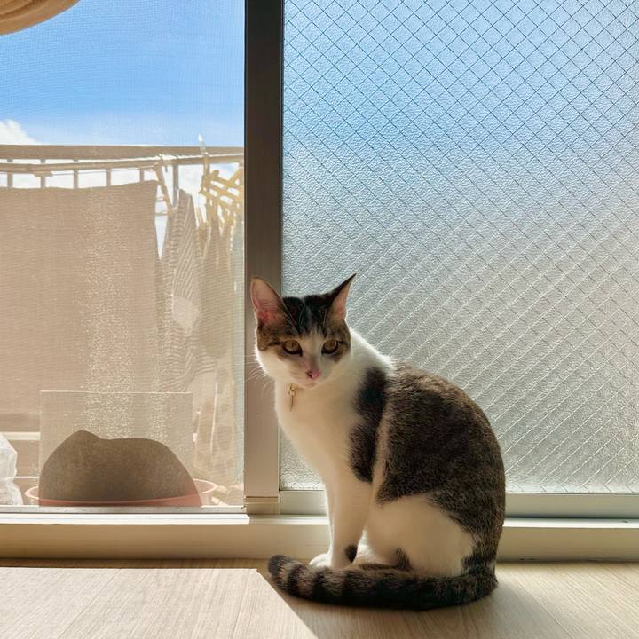 Fdbad50b a164 4271 b6b8 0d2639854b52 1759629193610