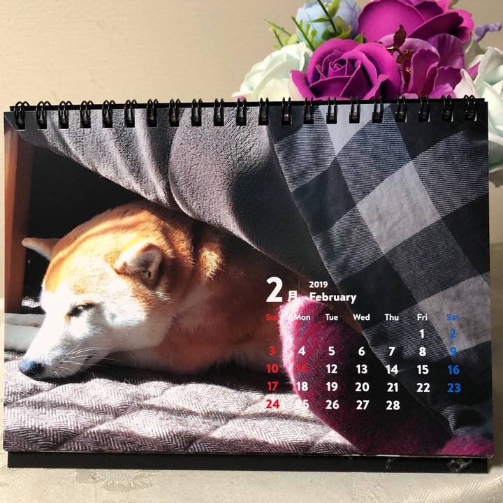 Fdbaff79 827a 4a57 8fcd 80ec898a5772 1549024036352