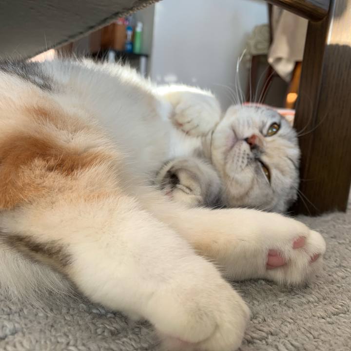 Fdbb022f d66e 45ef af05 514a88558fb4 1708213314101