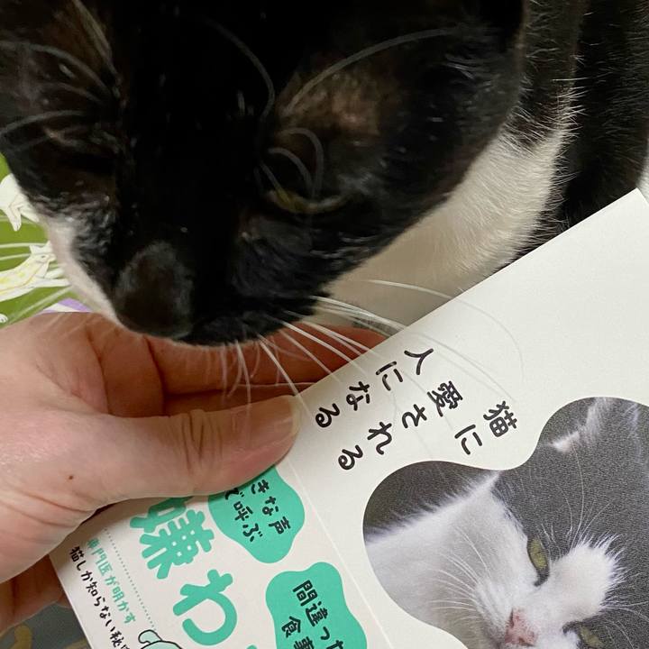 Fdbb0d86 0d5e 4e63 b980 8dc72c8e9a3e 1682939300366