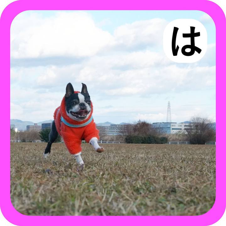 Fdbb12b4 e7dc 41ef 8fca fdc6927c00d8 1514805038163