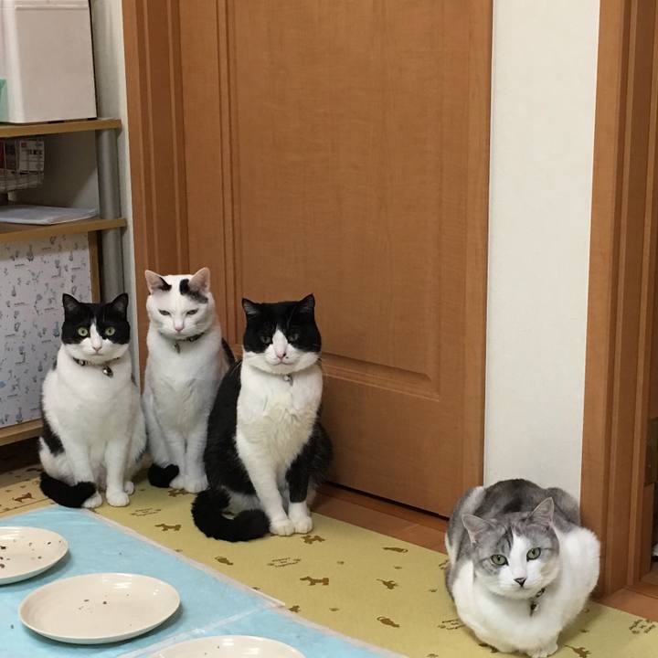 Fdbb20f5 a4f8 4f48 b6dd 1a501e160717 1510917316809