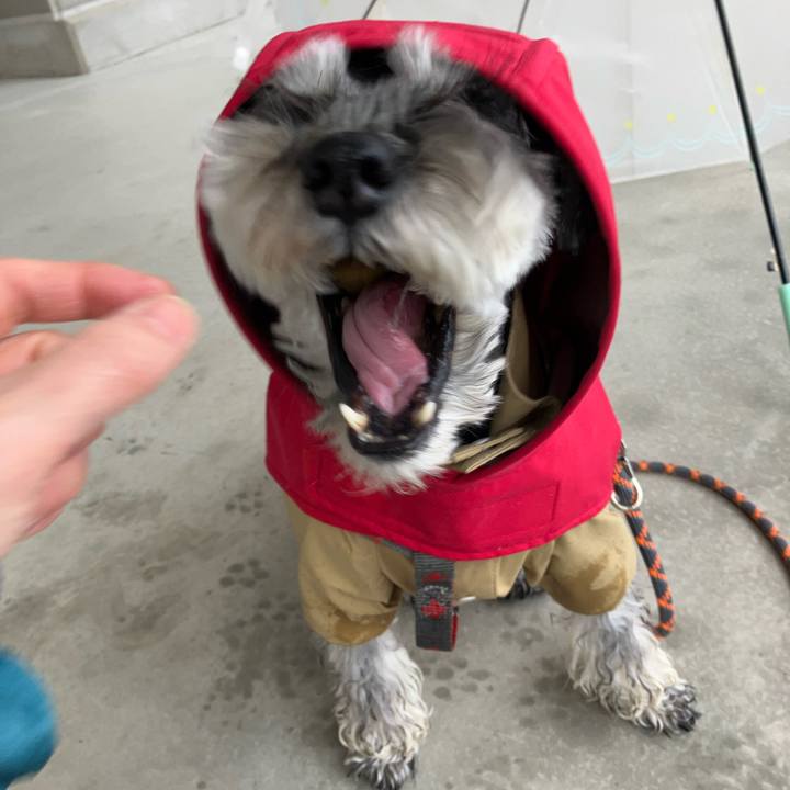 Fdbb250b eef8 435a a73a 281ff6b331d0 1735458450480