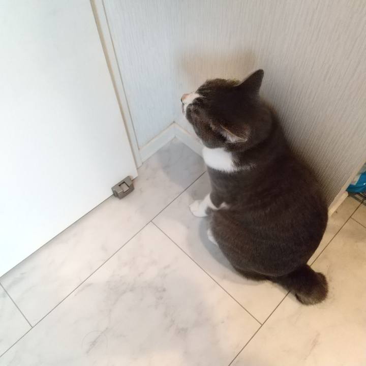 Fdbb4240 a1c2 48b9 bee8 d07788da1fc6 1601766294942