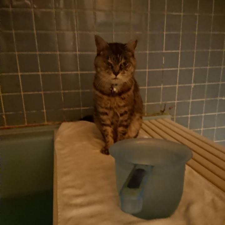 Fdbb984b 4ea7 4bc2 ab22 cd00570f6b56 1572165035488