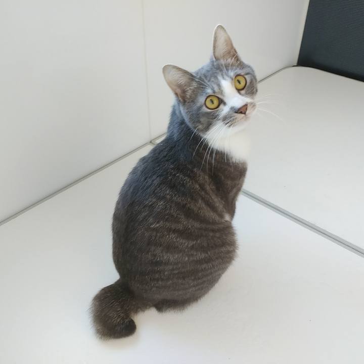 Fdbba5b7 9585 42c0 ada4 a51c550e4a06 1587251102546