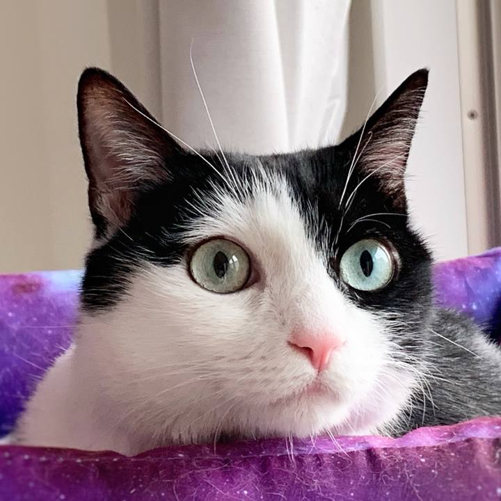 Fdbbfdae a857 441f bb4b 6f914579d5e2 1569460785817