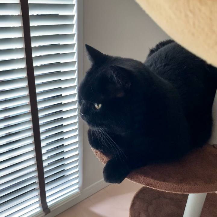 Fdbc433a e88a 4c55 8b23 e483649bd6ee 1720602530333